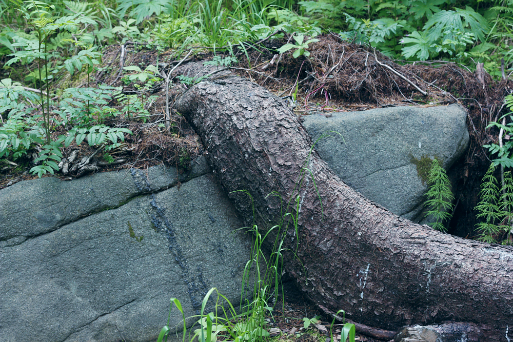 качканар 3.png